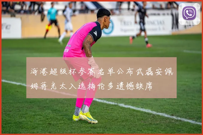 海港超级杯参赛名单公布武磊安佩姆蒋光太入选梅伦多遗憾缺席